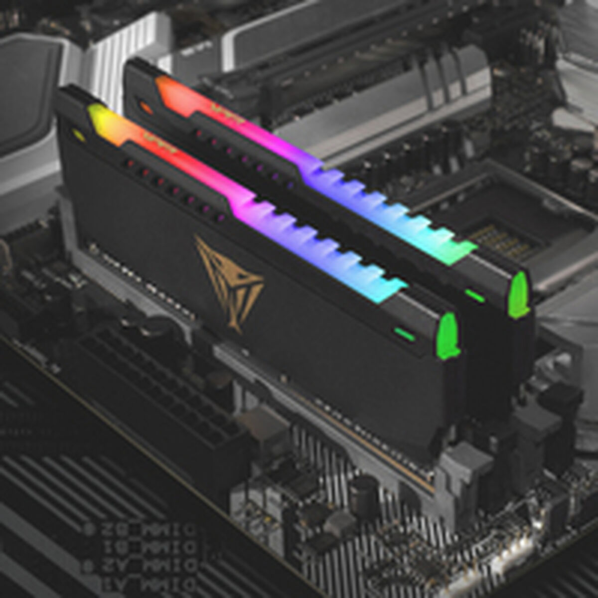 RAM atmintis Patriot Memory PVSR464G360C8K CL19 64 GB